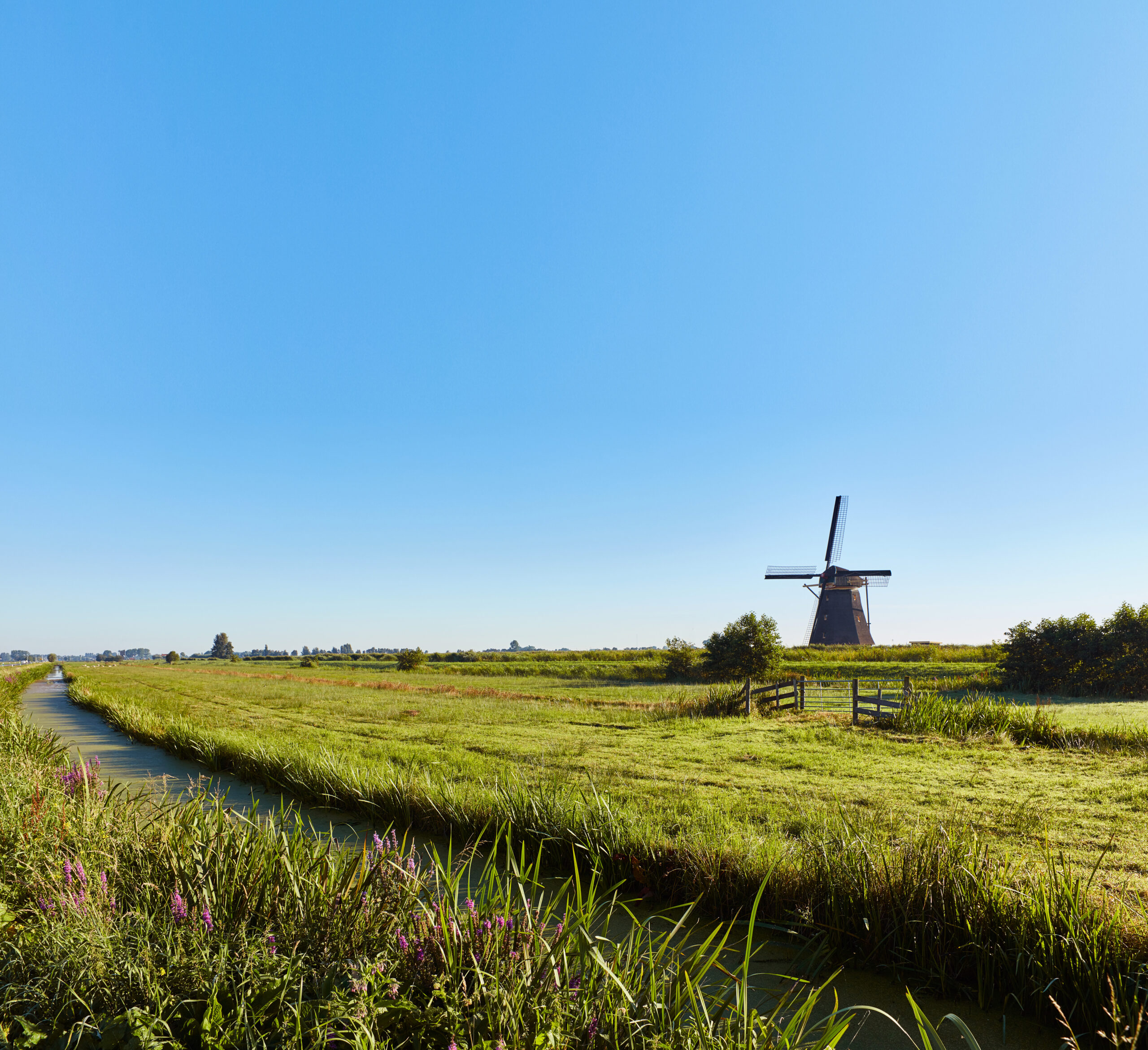 MVO bij de Groot Drukkerij